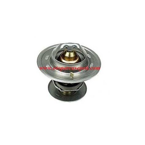 S60 Termostat
