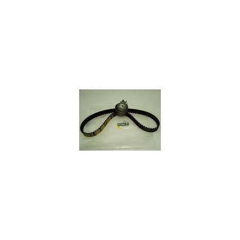 Renault Clıo Triger seti 1.4 16V 2001-2006