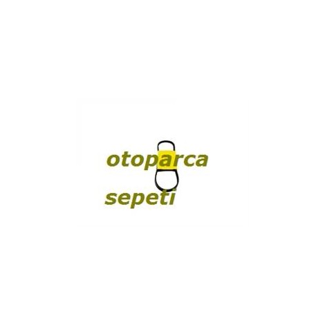 SEAT LEON KANATLI POMPA HİDROLİK DİREKSİYON 2000-2006
